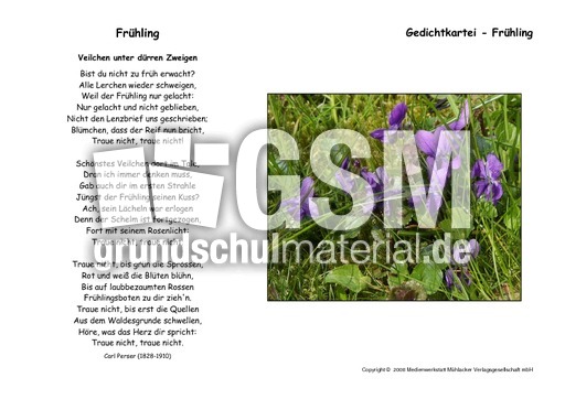 Veilchen-unter-dürren-Zweigen-Perser.pdf